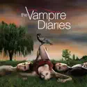 Unpleasantville (The Vampire Diaries) recap, spoilers