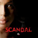 Scandal, Season 4 cast, spoilers, episodes and reviews