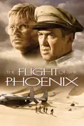 The Flight of the Phoenix summary, synopsis, reviews