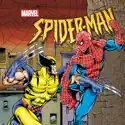 Spider-Man: The Animated Series, Season 3 watch, hd download