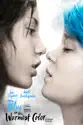 Blue Is the Warmest Color summary and reviews