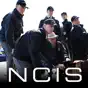 NCIS, Season 8