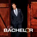 The Bachelor, Season 19 cast, spoilers, episodes, reviews