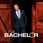 The Bachelor, Season 19