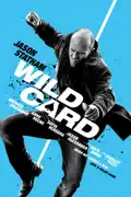Wild Card summary, synopsis, reviews