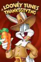 A Looney Tunes Thanksgiving summary and reviews