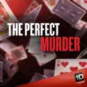 The Perfect Murder, Season 2 cast, spoilers, episodes, reviews