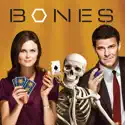 Bones, Season 3 cast, spoilers, episodes, reviews