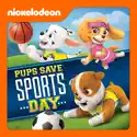 PAW Patrol, Pups Save Sports Day tv series