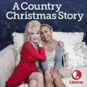 A Country Christmas Story release date, synopsis, reviews
