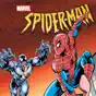 Spider-Man: The Animated Series, Season 2