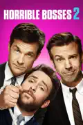 Horrible Bosses 2 summary, synopsis, reviews