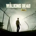 The Walking Dead, Season 4 watch, hd download