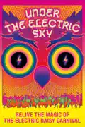 Under the Electric Sky summary, synopsis, reviews