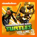 The Mutation Situation - Teenage Mutant Ninja Turtles from Teenage Mutant Ninja Turtles, Vol. 3