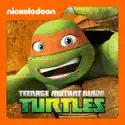 Teenage Mutant Ninja Turtles, Mikey: Booyakasha! watch, hd download
