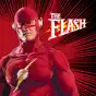 The Flash (Classic Series), Season 1