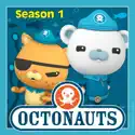 The Great Penguin Race - Octonauts from The Octonauts, Season 1