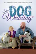 The Dog Wedding summary, synopsis, reviews