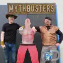 MythBusters, Season 16 cast, spoilers, episodes, reviews