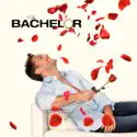 The Bachelor, Season 18 watch, hd download