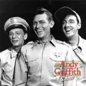 The Andy Griffith Show, Season 2 reviews, watch and download