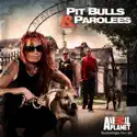 Pit Bulls and Parolees, Season 6 cast, spoilers, episodes and reviews