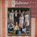The Waltons, Season 8 cast, spoilers, episodes, reviews