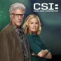CSI: Crime Scene Investigation, Season 14 cast, spoilers, episodes, reviews