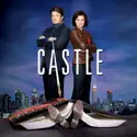 Castle, Season 1 reviews, watch and download