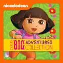 Dora's Big Adventures Collection watch, hd download