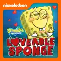 SpongeBob SquarePants, Loveable Sponge watch, hd download