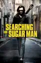 Searching for Sugar Man summary and reviews