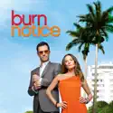 Burn Notice, Season 2 cast, spoilers, episodes, reviews