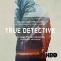 True Detective, Seasons 1 & 2 cast, spoilers, episodes, reviews