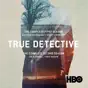 True Detective, Seasons 1 & 2
