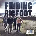 Finding Bigfoot, Season 9 watch, hd download