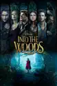 Into the Woods (2014) summary and reviews