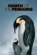 March of the Penguins reviews, watch and download