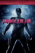 Daredevil (Director's Cut) summary, synopsis, reviews