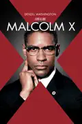 Malcolm X summary, synopsis, reviews