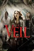 The Veil summary, synopsis, reviews