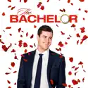 The Bachelor, Season 20 watch, hd download