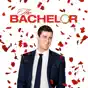 The Bachelor, Season 20