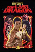 The Last Dragon summary, synopsis, reviews