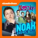 iCarly, Noah Knows Best! watch, hd download