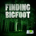 Finding Bigfoot, Season 8 watch, hd download