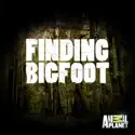 Finding Bigfoot, Season 10 watch, hd download