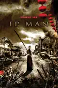 Ip Man summary, synopsis, reviews