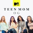 Teen Mom, Vol. 13 cast, spoilers, episodes, reviews